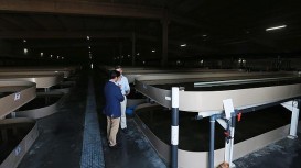 Instalaciones de Cupimar