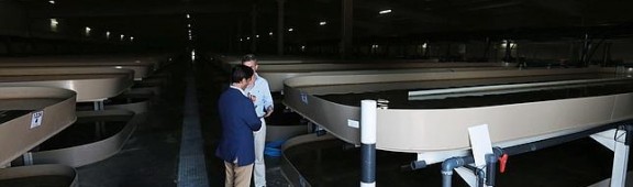 Instalaciones de Cupimar