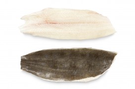 Lenguado conservación