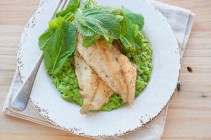 Lenguado Soleé a la plancha con puré