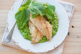 Lenguado Soleé a la plancha con puré